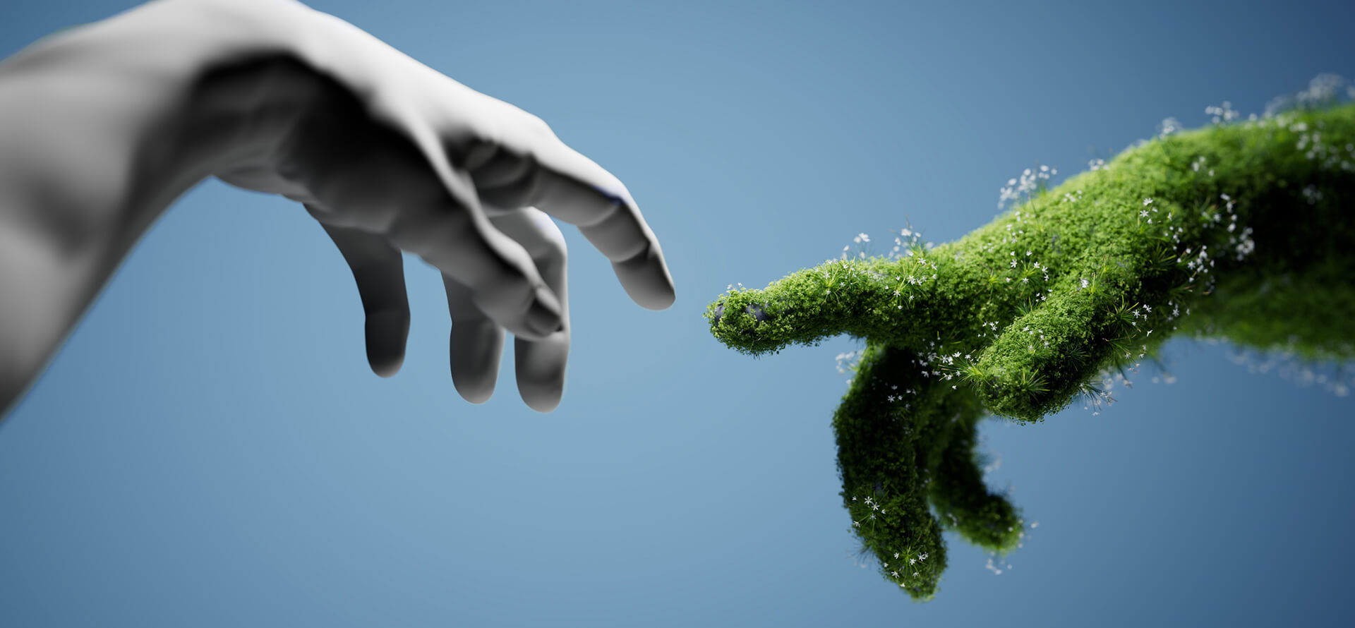 NEM Energy sustainability